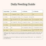 Petcurean Now Fresh Turkey, Salmon & Duck Recipe Large Breed Dry Puppy Food