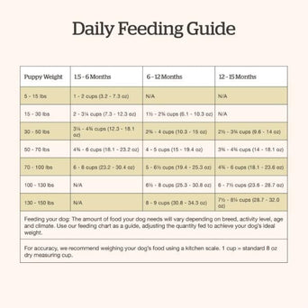 Petcurean Now Fresh Turkey, Salmon & Duck Recipe Large Breed Dry Puppy Food