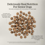 Petcurean Now Fresh Turkey, Salmon & Duck Recipe Senior Dry Dog Food, 22lb