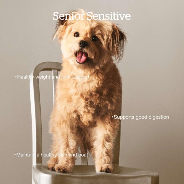 Petcurean Now Fresh Turkey, Salmon & Duck Recipe Senior Dry Dog Food, 22lb