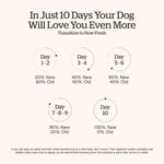 Petcurean Now Fresh Turkey, Salmon & Duck Recipe Senior Dry Dog Food, 22lb