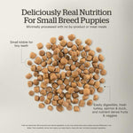 Petcurean Now Fresh Turkey, Salmon & Duck Recipe Small Breed Puppy Dry Dog Food