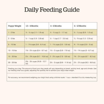 Petcurean Now Fresh Turkey, Salmon & Duck Recipe Small Breed Puppy Dry Dog Food