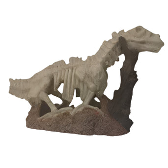 Petland Canada Dinosaur Skeleton Aquarium Ornament