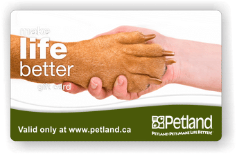 Petland Canada eGift Card - Online Use Only