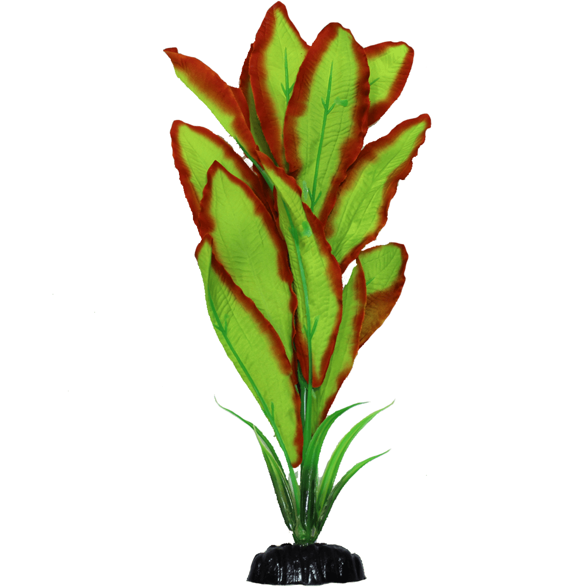 Petland Canada Fish Gear Amazon Sword Silk Aquarium Plant
