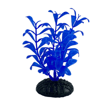 Petland Canada Fish Gear Blue Ludwigia Plastic Betta Plant