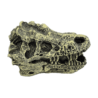 Petland Canada Fish Gear Dino Skull Betta Ornament