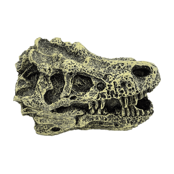 Petland Canada Fish Gear Dino Skull Betta Ornament