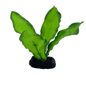 Petland Canada Fish Gear Green Sword Silk Betta Plant