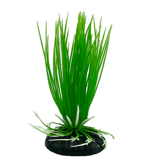 Petland Canada Fish Gear Hairgrass Plastic Betta Plant