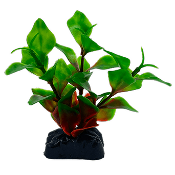 Petland Canada Fish Gear Hygrophila Corymbosa Plastic Betta Plant