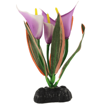 Petland Canada Fish Gear Lilac Peace Lily Silk Betta Plant