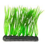Petland Canada Fish Gear Narrow Leaf Green Foreground Aquarium Plant