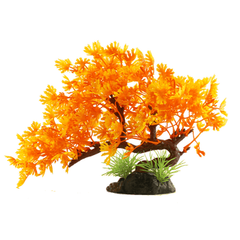 Petland Canada Fish Gear Orange Bonsai Tree Plastic Aquarium Plant