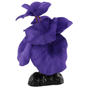 Petland Canada Fish Gear Purple Cardamine Silk Betta Plant