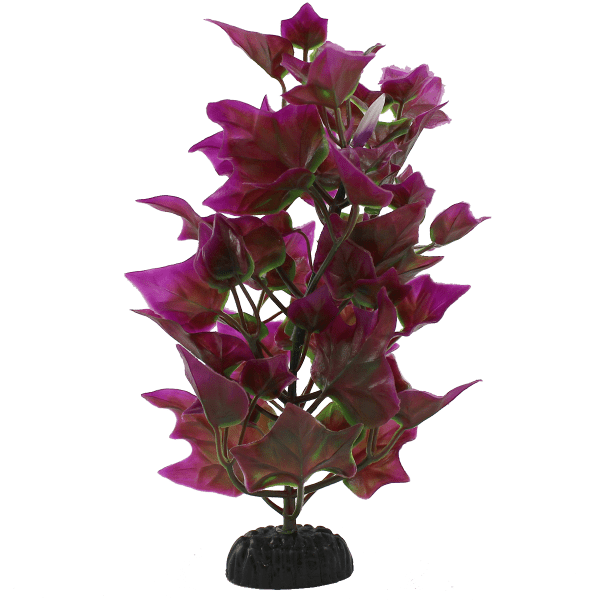 Petland Canada Fish Gear Purple & Green Ivy Aquarium Plant