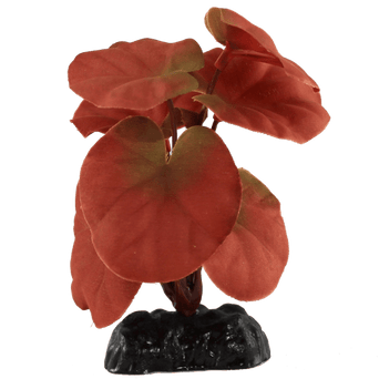 Petland Canada Fish Gear Red Cardamine Silk Betta Plant