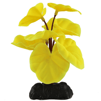 Petland Canada Fish Gear Yellow Cardamine Silk Betta Plant