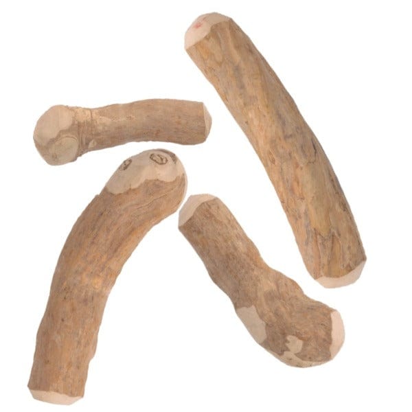 Petland Canada Good Dog Mighty Wood Chews