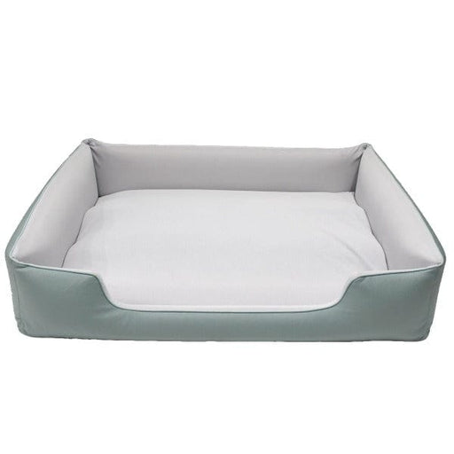 Petland dog on sale supplies