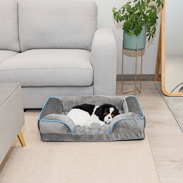 Good Dog Orthopedic Memory Foam Dog Couch Medium