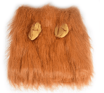 Petland Canada Lion Mane Dog Costume