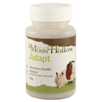 Petland Canada Moss Hollow Adapt