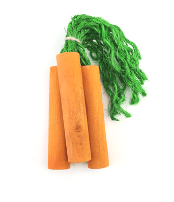 Petland Canada Moss Hollow Carrot Sticks Chew