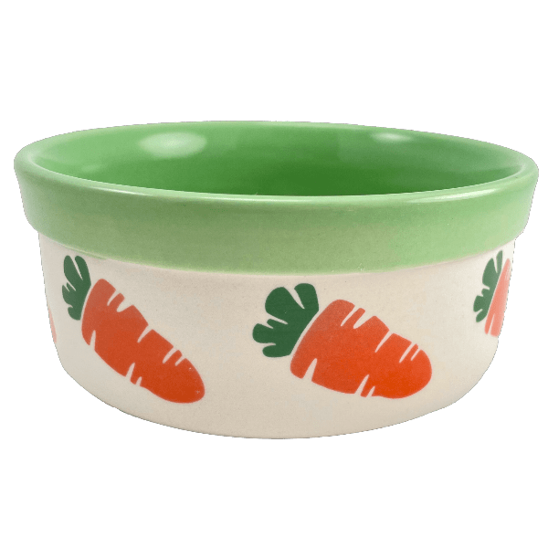 Guinea pig ceramic food bowl online