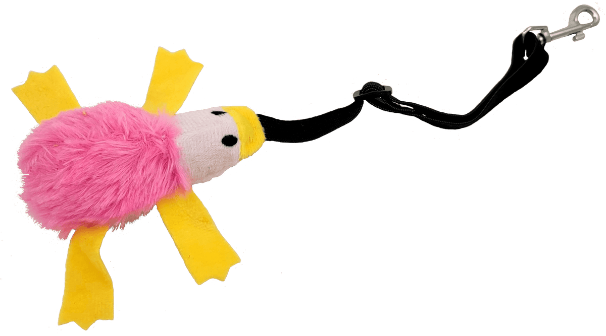 Petland Canada Moss Hollow Ferret Bungee Toy