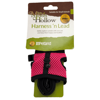 Petland Canada Moss Hollow Harness 'n Lead Set