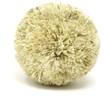 Petland Canada Moss Hollow Play Pom