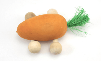 Petland Canada Moss Hollow Rolling Carrot Toy