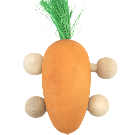 Petland Canada Moss Hollow Rolling Carrot Toy