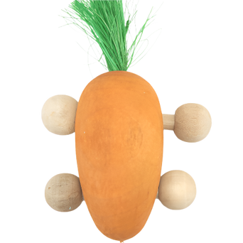 Petland Canada Moss Hollow Rolling Carrot Toy