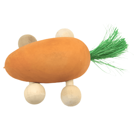 Petland Canada Moss Hollow Rolling Carrot Toy