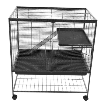 Petland Canada Moss Hollow 