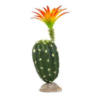 Petland Canada Repti Gear Orange Palm Cactus Reptile Decor