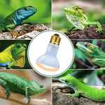 Petland Canada Reptizoo Daylight Basking Spot