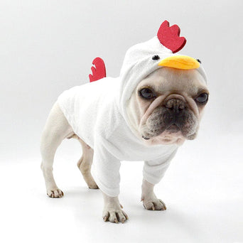 Petland Canada Rooster Dog Costume
