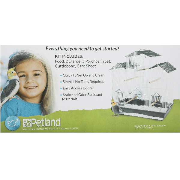 Petland 2024 cockatiel price
