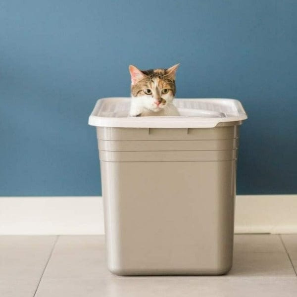 Petmate Top Entry Litter Box – Petland Canada