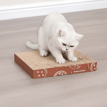 PetPals PetPals Cardboard Scratcher