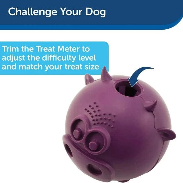 Busy buddy dog 2024 toy