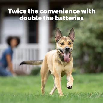 PetSafe PetSafe 6 Volt Lithium Battery (2-Pack)