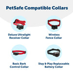 PetSafe PetSafe 6 Volt Lithium Battery (2-Pack)