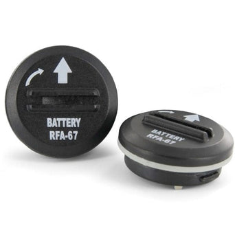 PetSafe PetSafe 6 Volt Lithium Battery (2-Pack)