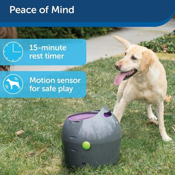 PetSafe PetSafe Automatic Ball Launcher