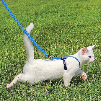 PetSafe PetSafe Come with Me Kitty, Easy Walk Harness & Bungee Lead for Cats